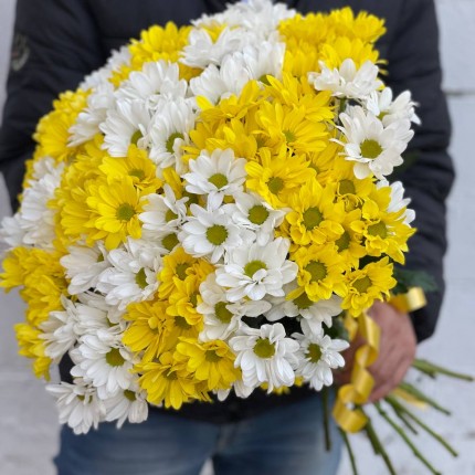 Букет из разноцветных хризантем - купить с доставкой в по Хотьково